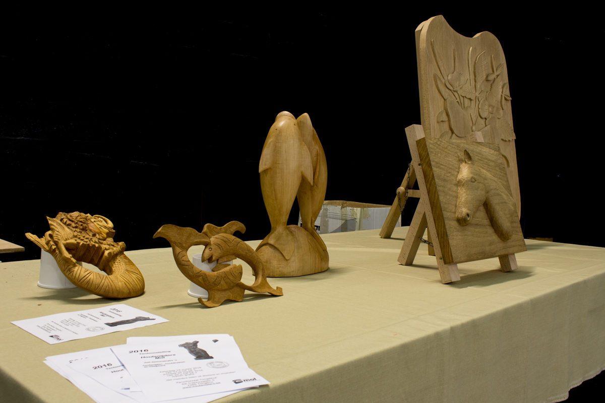 Tentoonstelling Timmerveld
